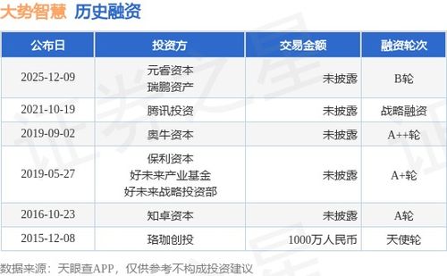 大勢(shì)智慧完成B輪融資，元睿資本與瑞鵬資產(chǎn)領(lǐng)投，技術(shù)賦能再升級(jí)